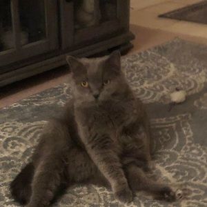 Meet your Posher, Melonie